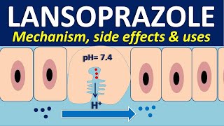 How and When to use Omeprazole Losec Prilosec  For Patients [upl. by Enillebyam33]