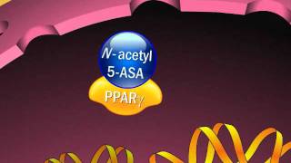 Mechanism of Action of Aminosalicylates [upl. by Aerdnat]