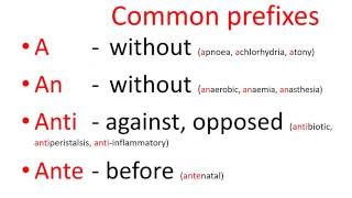 Medical terms  common prefixes [upl. by Ruberta]