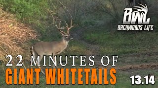 ULTIMATE Deer Hunting Compilation [upl. by George]