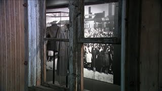 Auschwitz exhibit largest in US history set to open in New York City museum [upl. by Aenel]