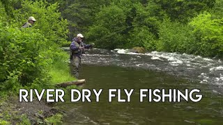 Dry Fly Trout  New Hampshire Fishing [upl. by Missy]