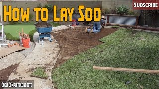 How to Lay SOD StAugustine Grass DIY for Beginners PART 3 [upl. by Enaillil]