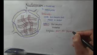 NUCLEOPLASM STRUCTURE FUNCTION [upl. by Nit]