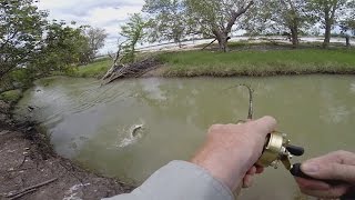 Small Creek Fishing for Barramundi [upl. by Notelrahc]