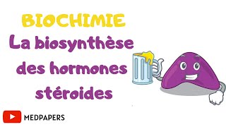 biochimie la biosynthèse des hormones stéroïdes [upl. by Silevi835]