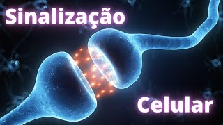 Sinalização celular – Fisiologia Humana [upl. by Streetman]