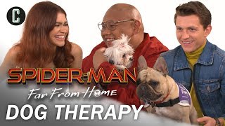 Tom Holland Zendaya and Jacob Batalon Play with Therapy Dogs [upl. by Hnid]