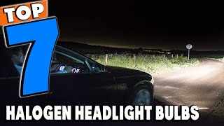 Top 7 Best Halogen Headlight Bulbs Review in 2024 [upl. by Niawat]