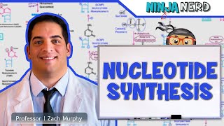 Metabolism  Nucleotide Synthesis  Purine amp Pyrimidine Synthesis [upl. by Howarth]