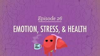 Emotion Stress and Health Crash Course Psychology 26 [upl. by Ahsienahs352]