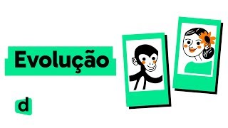 RESUMO SOBRE EVOLUÇÃO  QUER QUE DESENHE  DESCOMPLICA [upl. by Etteloiv]