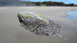 INCREDIBLE AND INGENIOUS Barnacles Removing From ShipSATISFYING Barnacles Removing Proces [upl. by Atiner]