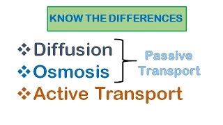 Cell Transport Diffusion osmosis active transport [upl. by Idok25]