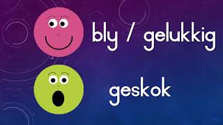 Gr 2 Afrikaans lesson 1 [upl. by Pavla947]