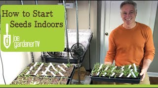 How I Start Seeds Indoors Tips amp Techniques [upl. by Cleveland967]