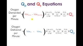 Understanding Shunt Fraction QpQs [upl. by Niabi]