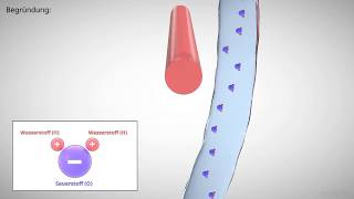 elektrische Polarisation erklärt [upl. by Sidwohl]