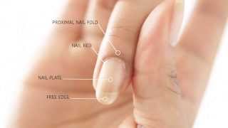 HOW TO REMOVE CUTICLES WITHOUT BLEEDING  abetweene [upl. by Asa]