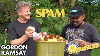 Gordon Ramsay Makes SPAM Scrambled Eggs in Hawaii  Scrambled [upl. by Idnahs307]