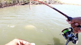 The best BARRAMUNDI fishing I’ve ever seen [upl. by Elata]