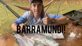 How To Clean amp Fillet Barramundi [upl. by Dorwin67]