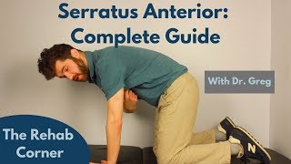 Serratus Anterior  A Complete Guide [upl. by Drarrej]