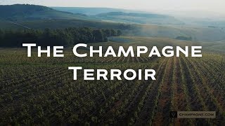 The Champagne Terroir [upl. by Nylaroc]