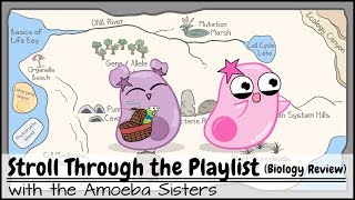 Stroll Through the Playlist a Biology Review [upl. by Aical241]