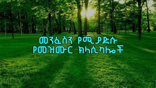 Ethiopian protestant mezmur classical  Ethiopian Instrumentals [upl. by Ailem]