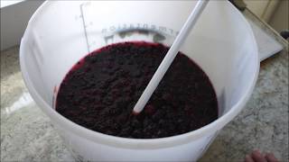 How To Make Blackberry Wine at Home [upl. by Asiek]