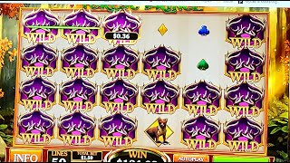 CASINO BET365  SUPER BIG WIN [upl. by Eixela]