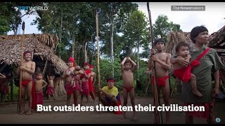 Picture This Amazon uncontacted tribe [upl. by Altman88]