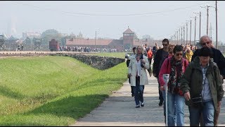 walking through auschwitz [upl. by Namron]