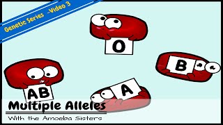 Multiple Alleles ABO Blood Types and Punnett Squares [upl. by Doretta]