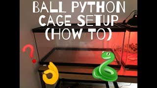 Ball Python Cage Setup 40 Gallon How I Setup my Tanks [upl. by Wivestad]