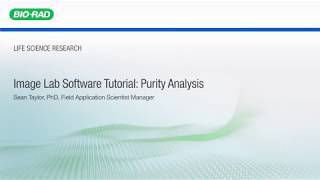 Image Lab Software Tutorial Purity Analysis [upl. by Gona]