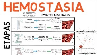 Hemostasia Coagulação do Sangue [upl. by Hurlbut]