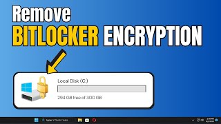 How To RemoveDisable BITLOCKER ENCRYPTION In Windows 11 EASY [upl. by Orimar]