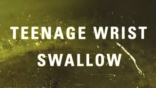 Teenage Wrist  quotSwallowquot [upl. by Tiffany]