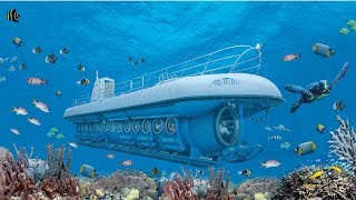 Atlantis Submarines Aruba  De Palm Tours [upl. by Neenad]