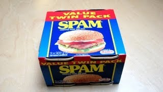 Spam amp Spamburger [upl. by Godric]