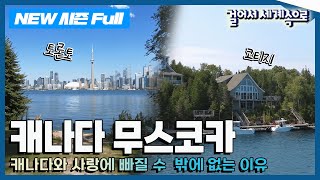 ✨NEW✨걸어서세계속으로📺 시청자와 함께하는 아주 특별한 여행 캐나다 무스코카 여행 Trip to Canada KBS 20240914 [upl. by Nysa]