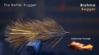 the BETTER Wooly Bugger  UNDERWATER FOOTAGE  McFly Angler Streamer Fly Tying Tutorials [upl. by Demitria]