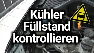 KühlmittelFüllstand richtig kontrollieren  PKW Motorpflege [upl. by Yadrahc103]