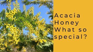 Acacia Honey What is so special [upl. by Atiuqrahs715]