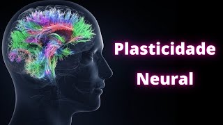 Neuroplasticidade – Fisiologia Humana [upl. by Nnyw]