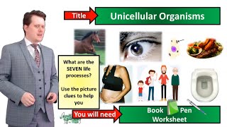 Unicellular Organisms  Biology  KS3  Key Stage 3  Mr Deeping [upl. by Hakaber]