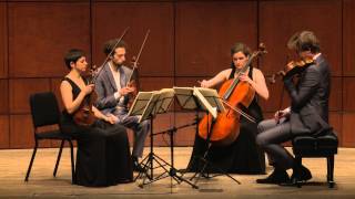 Beethoven String Quartet Op 132 in A Minor  Ariel Quartet full [upl. by Nino469]