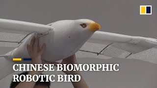 Chinese biomorphic robotic bird [upl. by Derrik]